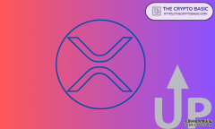 <b>“你根本不知道XRP的未来走向”——分析师指出</b>