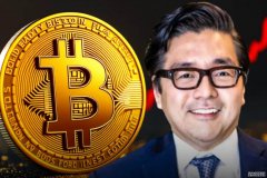 <b>Tom Lee表示，比特币在2025年底回调后，本月可能创</b>