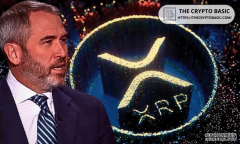 <b>Ripple首席执行官表示，公司优先考虑XRP的长期价</b>