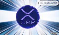 <b>XRP 成为 X 交易所搜索量最高的股票代码之一</b>