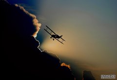 <strong>报道：特朗普要求格陵兰全面放开军事限</strong>