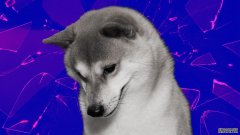 <strong>狗狗币推出又一款ETF，但华尔街对网络迷</strong>