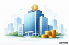 <strong>闪电 HSL：币圈会诞生万亿市值的中心化公</strong>