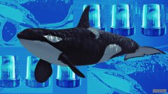 <strong>以太坊巨鲸九年后重现江湖，转移价值</strong>