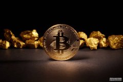 <strong>资深经济学教授称比特币是“愚人金”</strong>