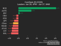 <strong>CoinDesk 20 指数表现更新：比特币现金 (B</strong>