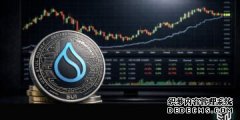 <strong>Sui 指出加密货币金库正在成为活跃的协议</strong>