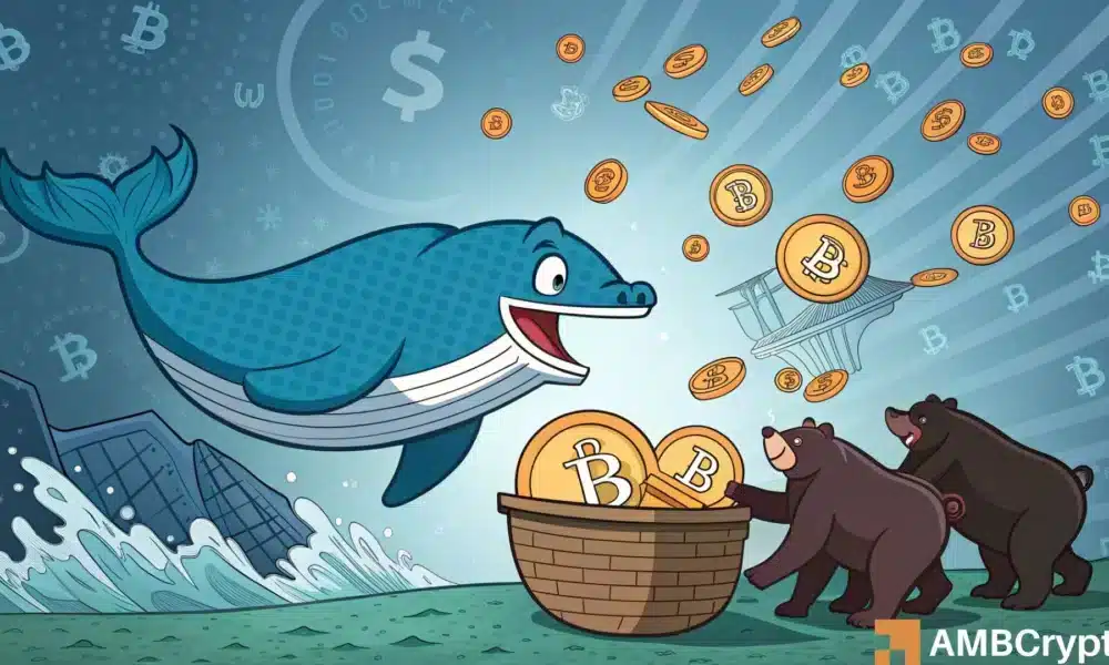 <strong>比特币：巨鲸斥资 8900 万美元买入，能否</strong>