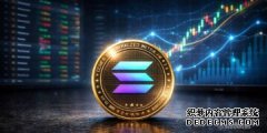 <strong>Solana 应对 Memecoin 热潮，加密货币吞吐量</strong>