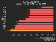 <strong>CoinDesk 20 指数表现更新：指数下跌 1.9%，</strong>