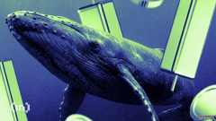 <strong>2026年2月，加密货币巨鲸们正在买入哪些</strong>