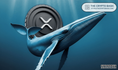 <strong>新 XRP 巨鲸 1 小时内吞下 1.2 亿 XRP_区块链</strong>