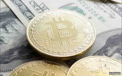 <strong>金融专家拉乌尔·帕尔揭示了比特币面临</strong>