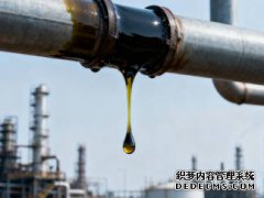 <strong>美印达成“石油换关税”协议：美国对印</strong>