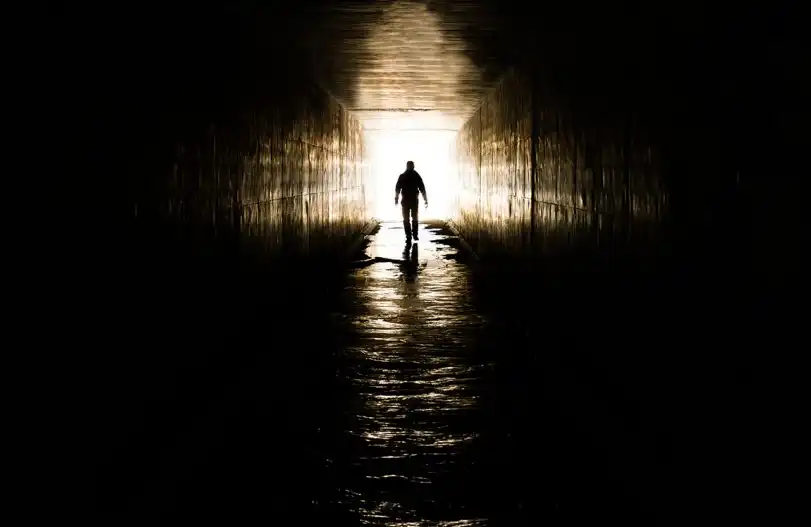 <strong>Bitwise首席投资官：长夜已至深处，加密市</strong>