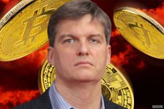 <strong>“没有自然理由停止上涨”：迈克尔·伯</strong>