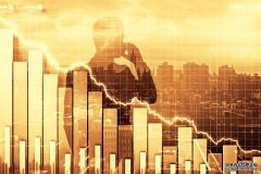 <b>软件崩盘的“蝴蝶效应”：BDC→私募信贷→金融</b>